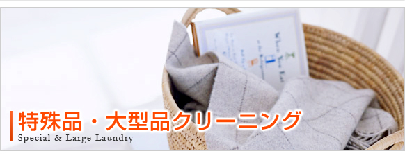 ����i�E��^�i�N���[�j���O